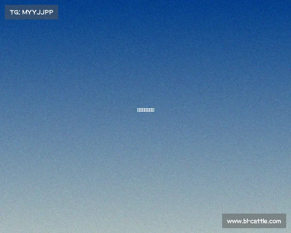 成都大运会参赛