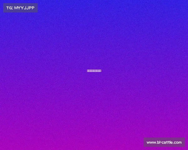 武汉举办的国际赛事