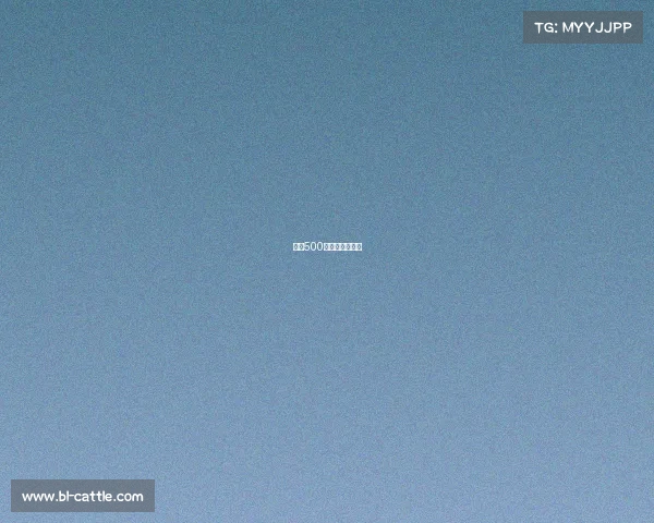 网球500赛事积分怎么算